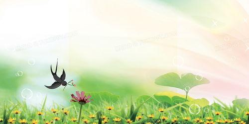 春天万物复苏的视频素材,万物复苏的生机盎然画卷